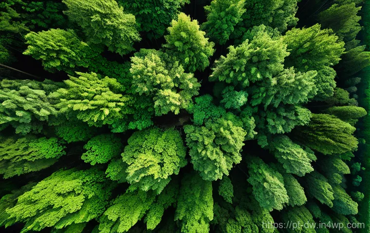 자연보호구역 모니터링과 기술 혁신 - **Prompt 1: Aerial Guardians of the Forest**
    "An intricate, modern drone, equipped with advanced...