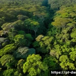 Home 17 자연보호구역 모니터링의 법적 의무 - A detailed aerial view of a lush Brazilian protected forest area at sunrise, showcasing dense green ...