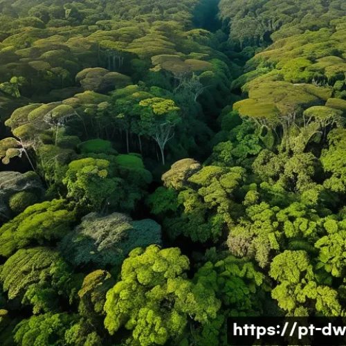 Home 29 자연보호구역 모니터링의 법적 의무 - A detailed aerial view of a lush Brazilian protected forest area at sunrise, showcasing dense green ...