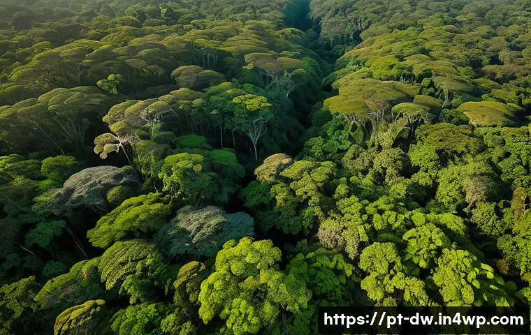 자연보호구역 모니터링의 법적 의무 - A detailed aerial view of a lush Brazilian protected forest area at sunrise, showcasing dense green ...