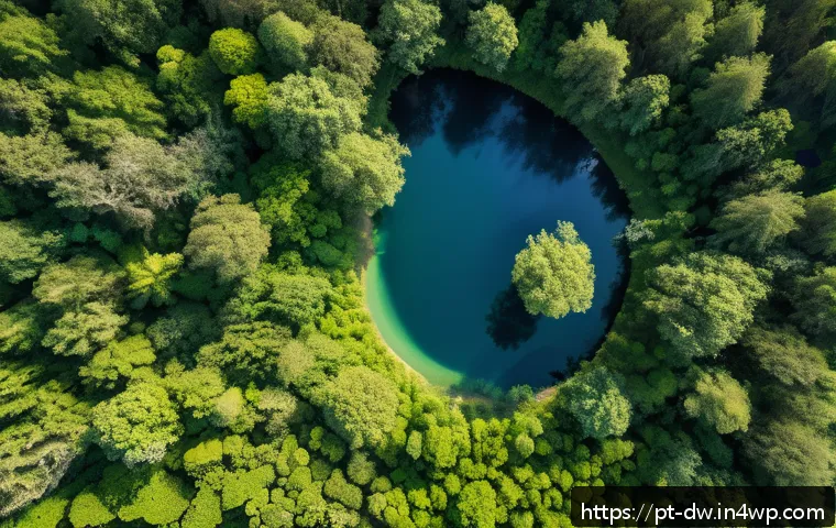자연보호구역 모니터링을 위한 문서 작성법 - A high-resolution aerial view of a lush, protected forest area captured by a drone equipped with mul...